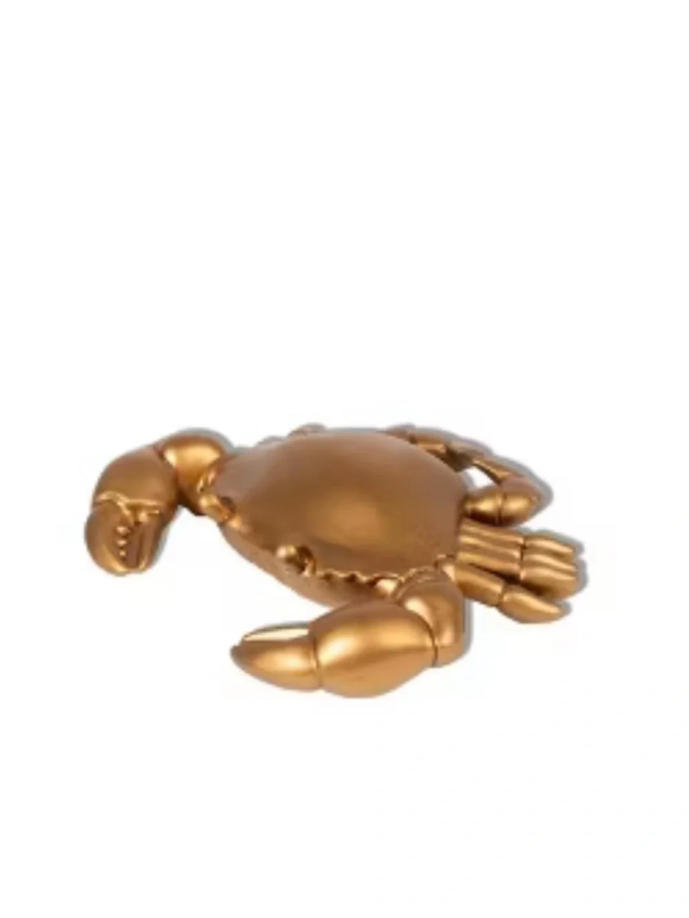 Target Coastal Accent Trio - Crab, Coral & Shell